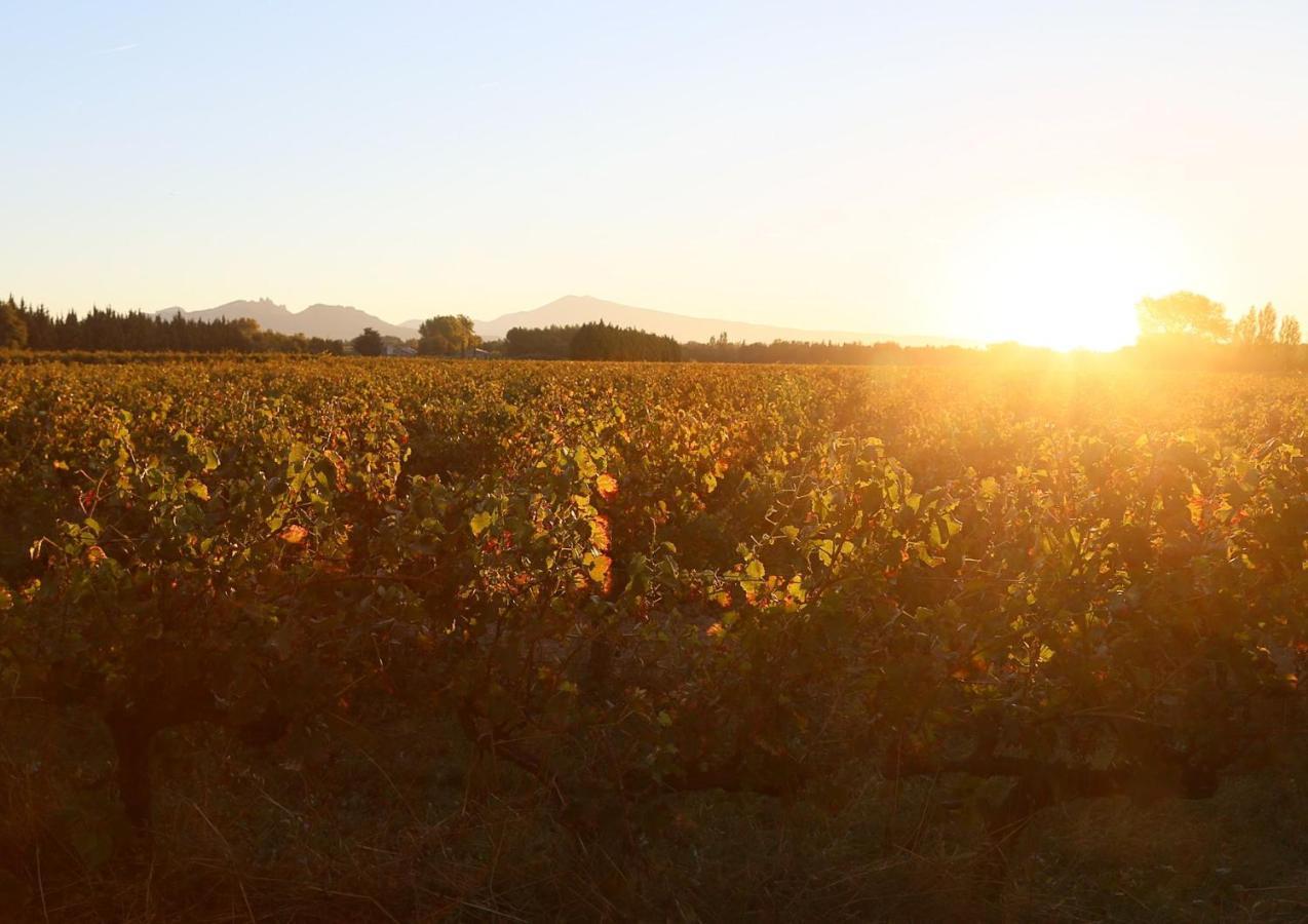 Mas Du Clos De L'Escarrat Jonquieres  Ngoại thất bức ảnh